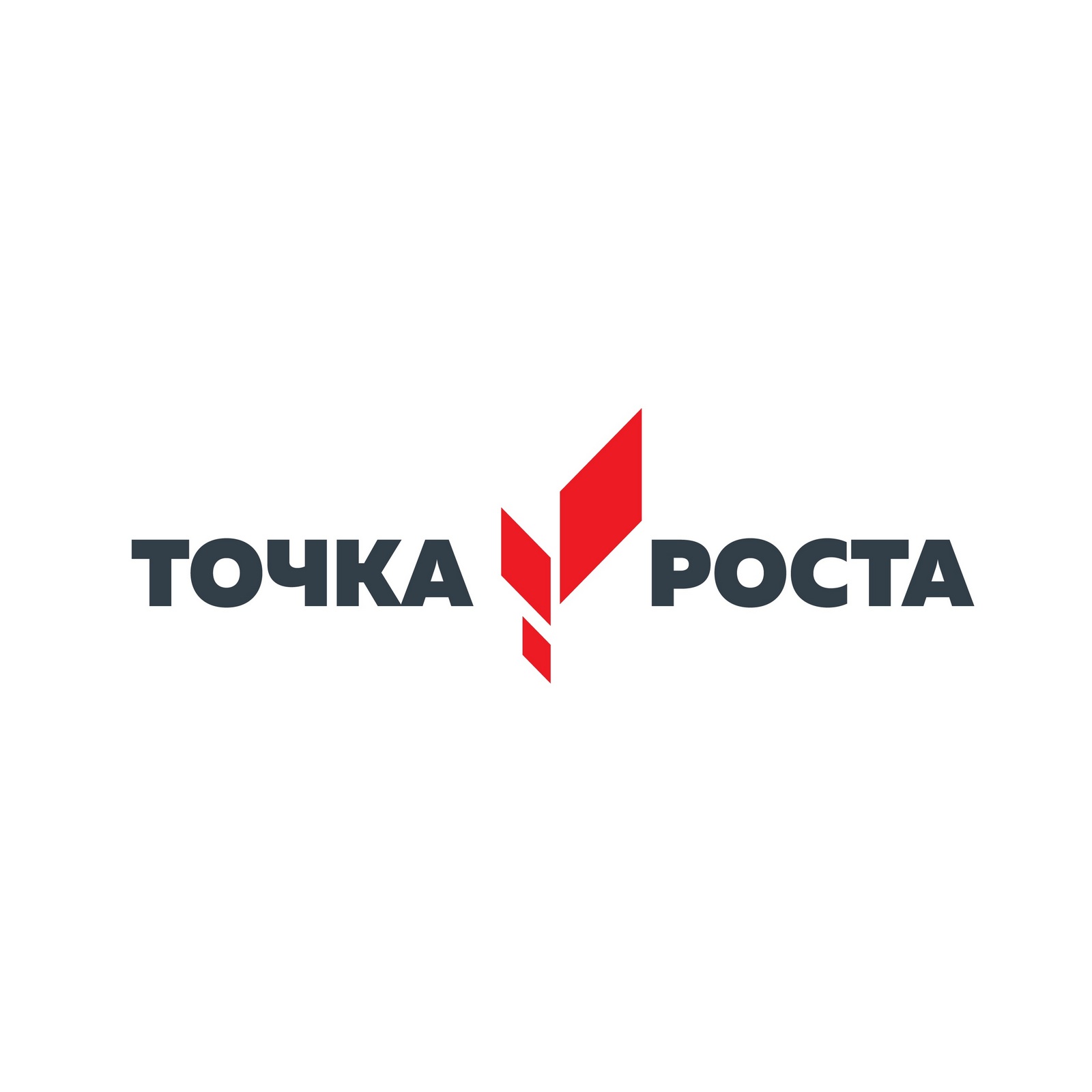 точка